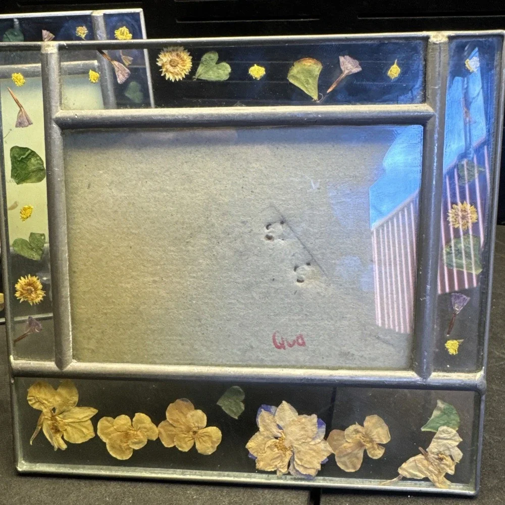 Vtg Carr Leaded Glass Picture Photo Frame Dried Press Flowers‎ Between 3 1/2 x5
